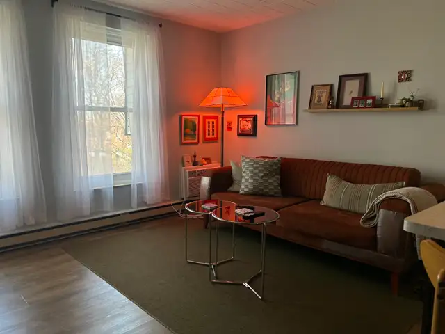 Modern 2 Bedroom, 1 Bath Condo for Rent in Windsor - Photo 7