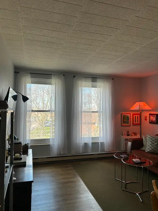 Modern 2 Bedroom, 1 Bath Condo for Rent in Windsor - Photo 9