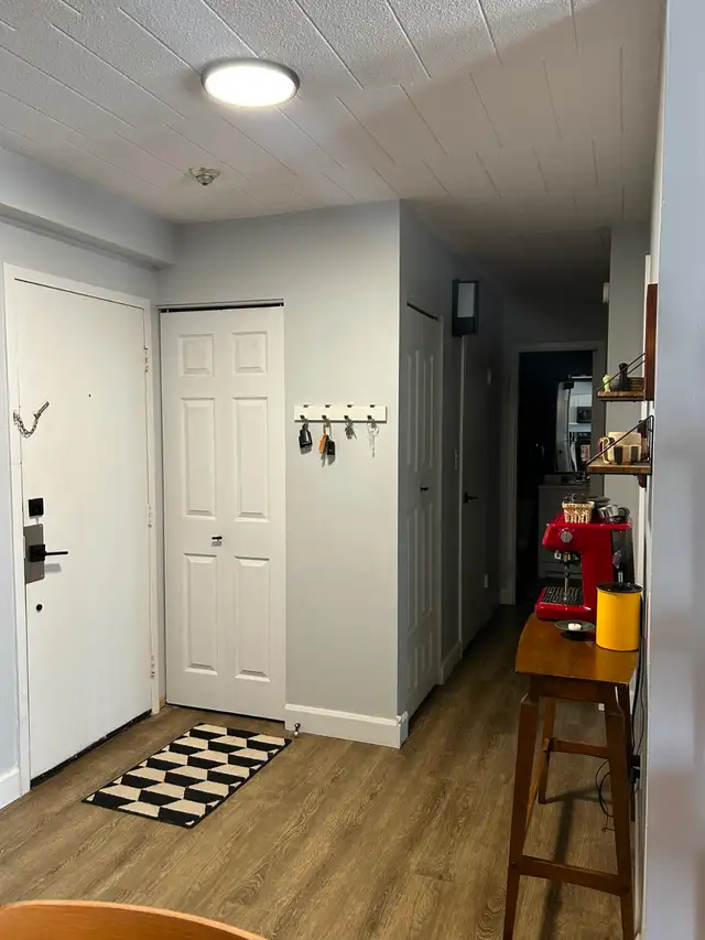 Modern 2 Bedroom, 1 Bath Condo for Rent in Windsor - Photo 10