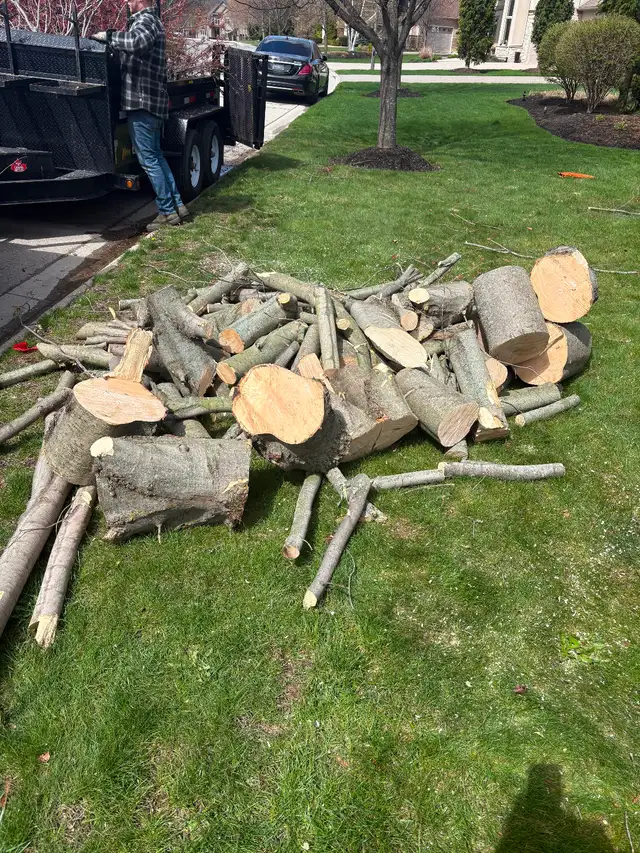 FREE FIREWOOD