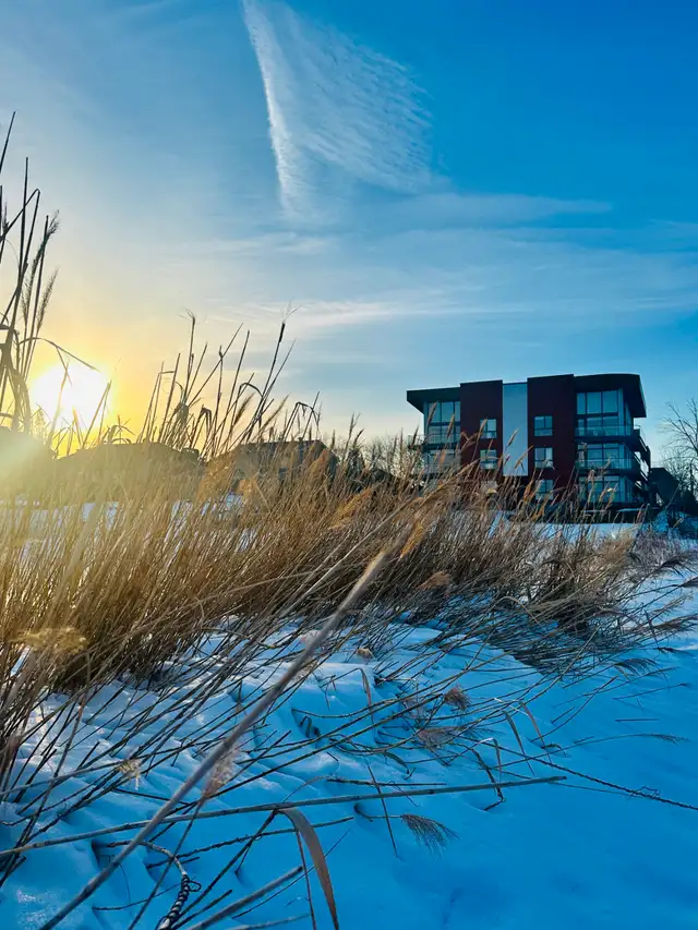 Condo 4 1/2 à louer - 1er juillet - Photo 10