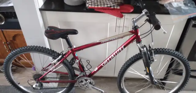 Two bikes $200 each , one MTB and one street cruiser