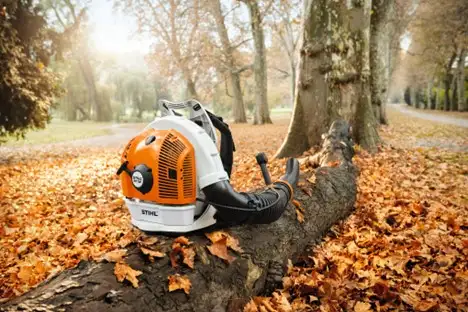 STIHL BR700- BROTHERS TWO SMALL ENGINES INC