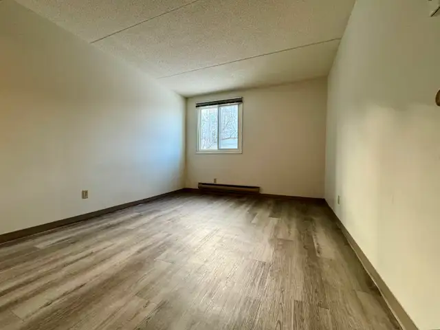 2-Bedroom Apartment Suite in St Vital Available June 1st - Photo 4