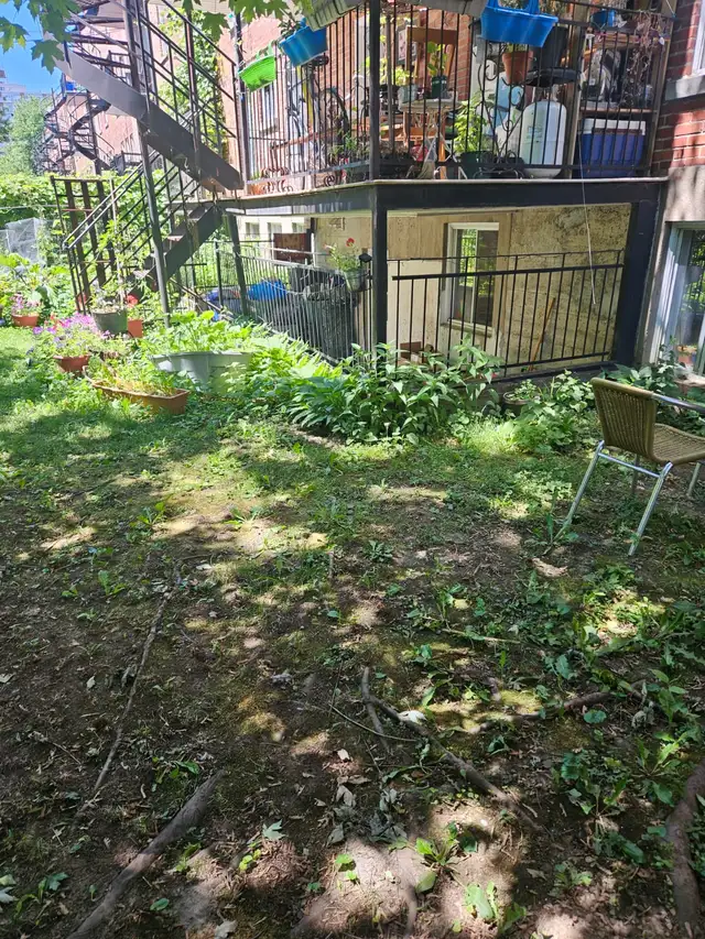 4 1/2 à louer 2030 avenue patricia - Photo 10