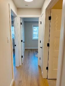 Spacious 3 Bedroom Apartments | New Build | Selkirk - Photo 15