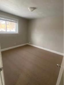 Bright Spacious 2 Bedroom Apartment - Photo 8
