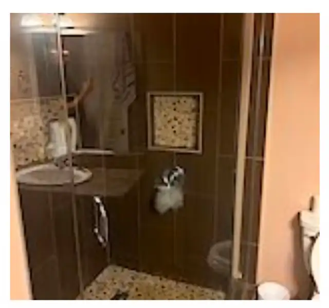 Furnished 1 bedroom walkout basement in Panorama Hills NW - Photo 6