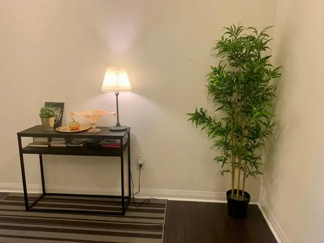 2 Brm & Den with 2 Full Washroom Condo for Rent (Amber Condos) - Photo 6