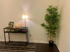 2 Brm & Den with 2 Full Washroom Condo for Rent (Amber Condos) - Photo 8