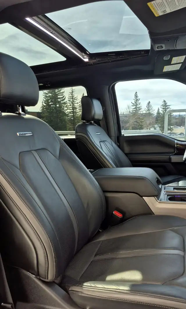 2015 Ford F150 Supercrew Platinum - Photo 6