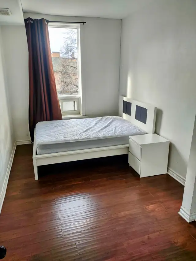 Unique Rental Opportunity at Edge of uOttawa SANDY HILL - Photo 3