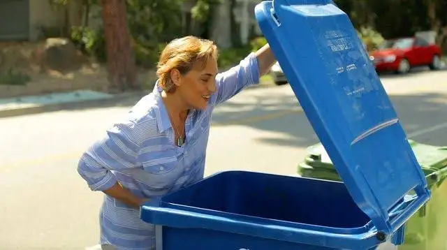 Bin Cleaning Services - Photo 7