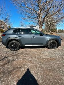 2025 Mazda CX50 Turbo Meridian Edition ONLY 12000 KLMS - Photo 7