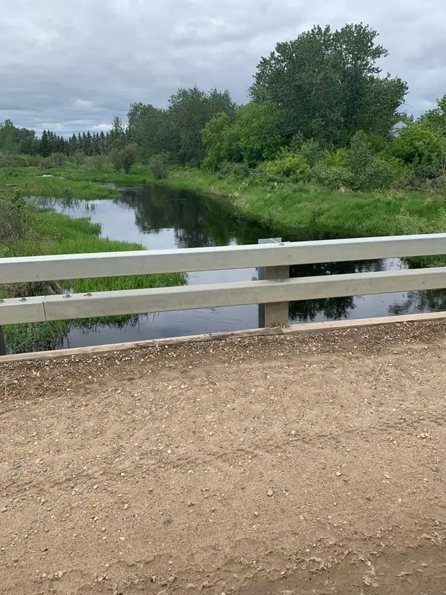 PASTURE/LAND FOR SALE - Photo 3