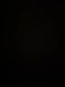 G Licensed Driver Required – Brampton (Van Driver)