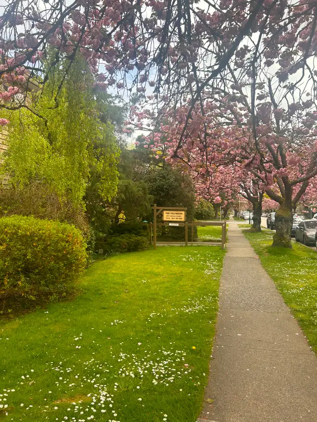 Large 1 Bed near Marple Loop Available