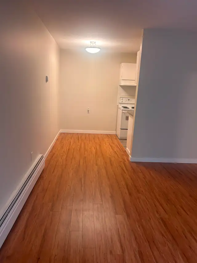 Large 1 Bed near Marple Loop Available - Photo 7