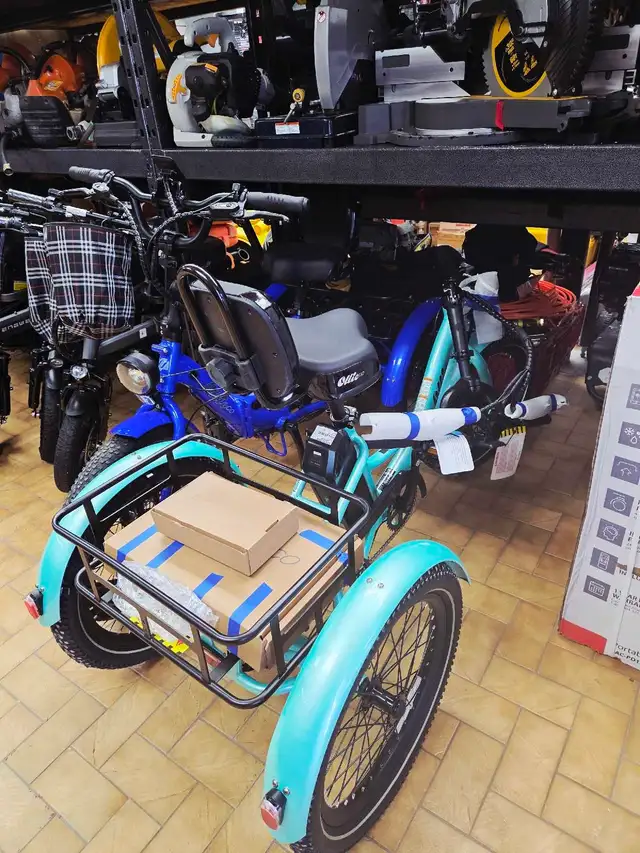 Tricycle électrique