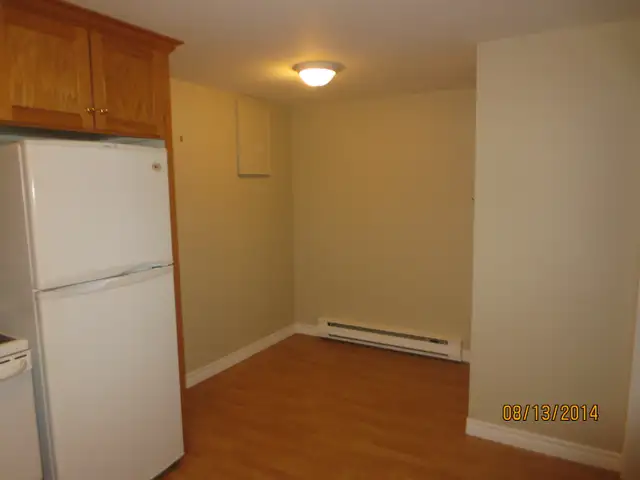 One Bedroom Basement Apartment - Photo 2