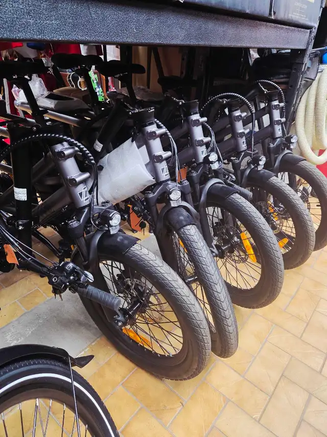 Vélo Électrique neuf cargo