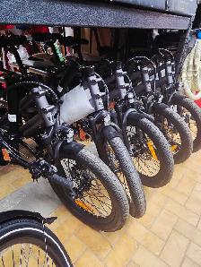 Vélo Électrique neuf cargo