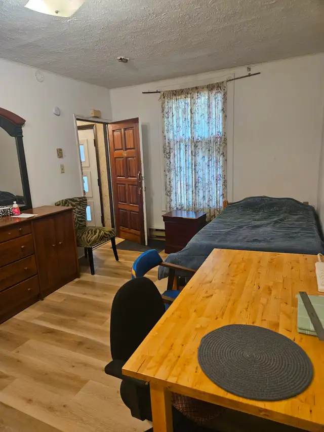 Grand 1.5 a louer dans le secteur de Decarie/Chemin Queen Mary - Photo 2