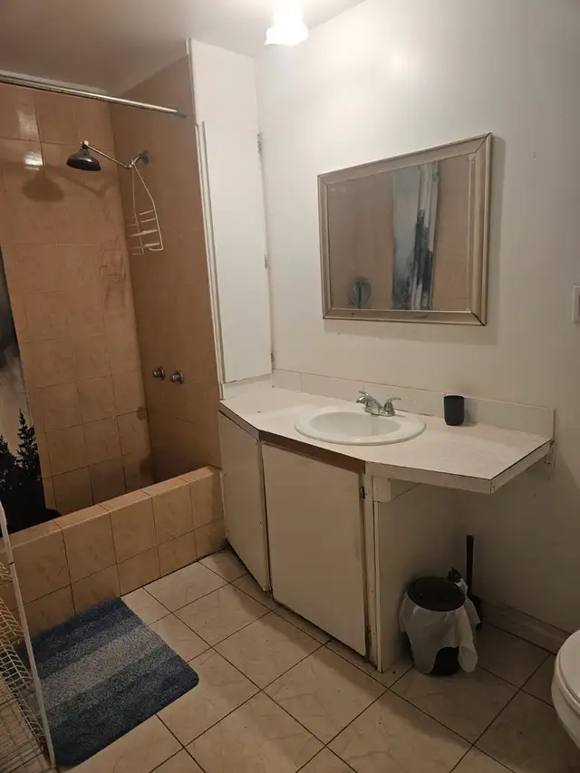 Grand 1.5 a louer dans le secteur de Decarie/Chemin Queen Mary - Photo 3