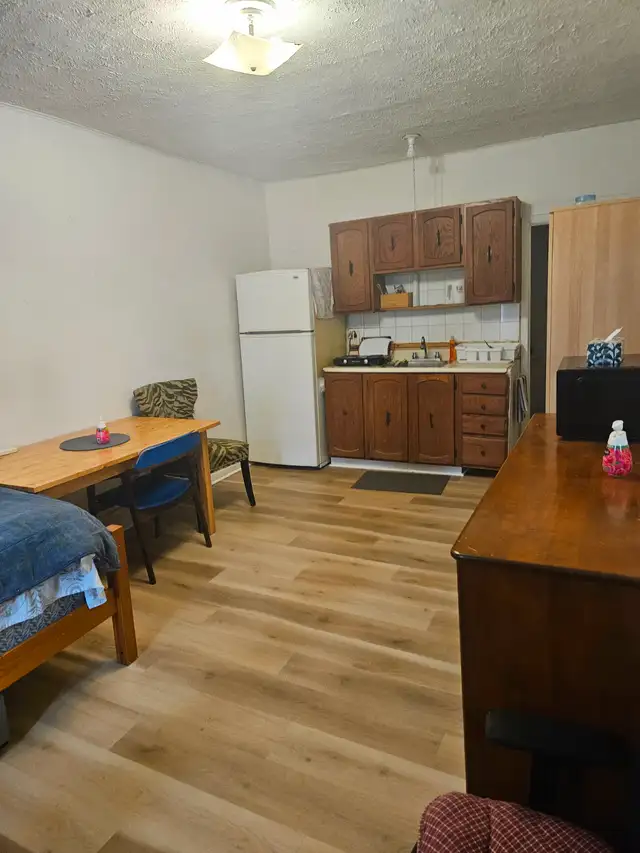 Grand 1.5 a louer dans le secteur de Decarie/Chemin Queen Mary - Photo 4