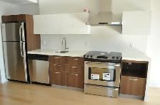 Downtown Luxury Condo for Rent for June 1st!