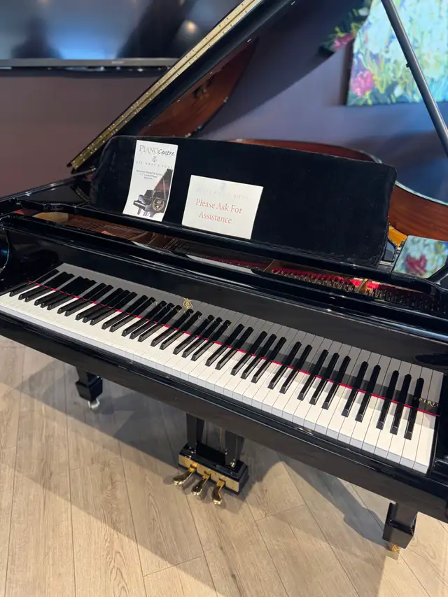 Steinway Spirio Model M - Photo 3