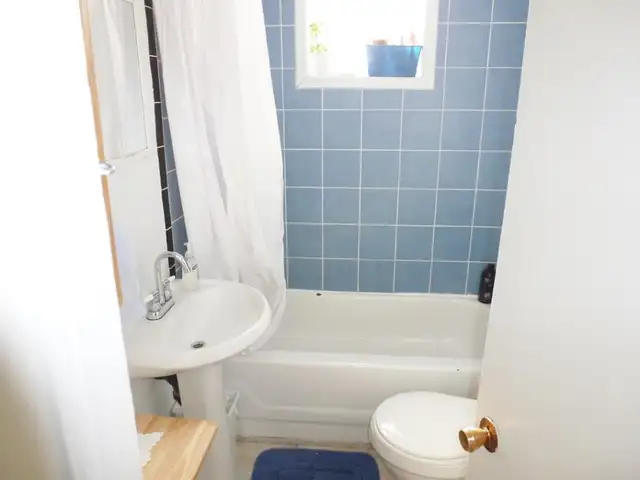 Sandy Hill, 2 bedroom Apartment, 342 Stewart St - Photo 4