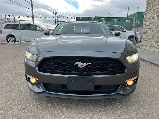 2015 Ford Mustang 2dr Fastback EcoBoost - Photo 2