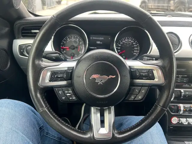 2015 Ford Mustang 2dr Fastback EcoBoost - Photo 8