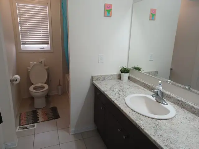 3 BR 2.5 Bath House available for 1 month , May 2026 - Photo 11