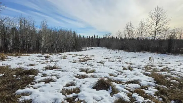 Perfect acerage for sale!