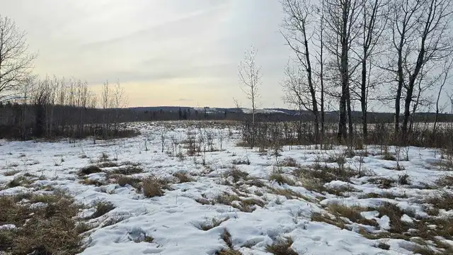 Perfect acerage for sale! - Photo 2