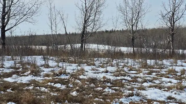 Perfect acerage for sale! - Photo 3