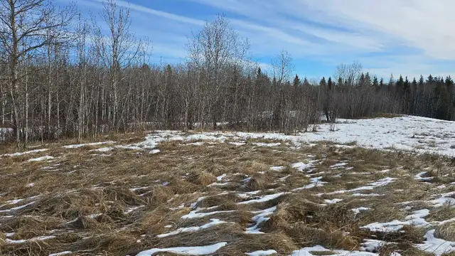 Perfect acerage for sale! - Photo 4