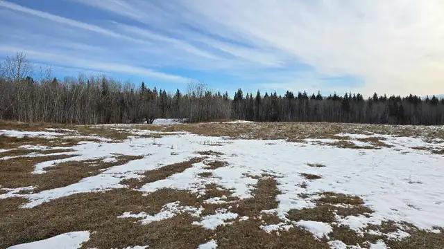 Perfect acerage for sale! - Photo 5