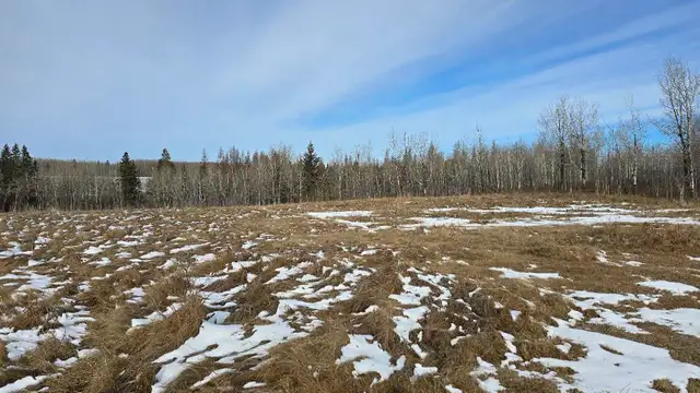 Perfect acerage for sale! - Photo 7