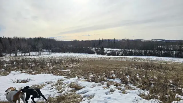 Perfect acerage for sale! - Photo 9