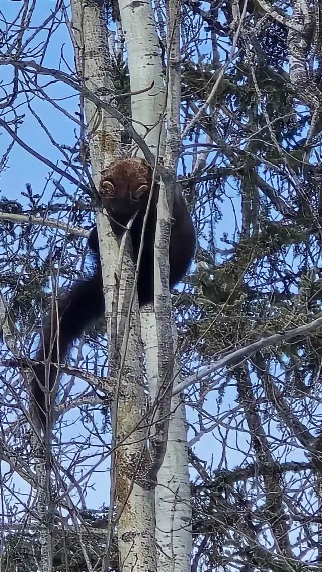 Perfect acerage for sale! - Photo 10