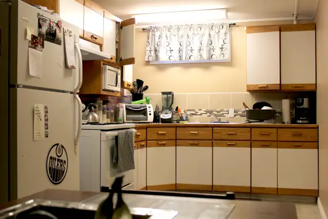 BEAUTIFUL 2 BEDROOMS BASEMENT SUITE! - Photo 4