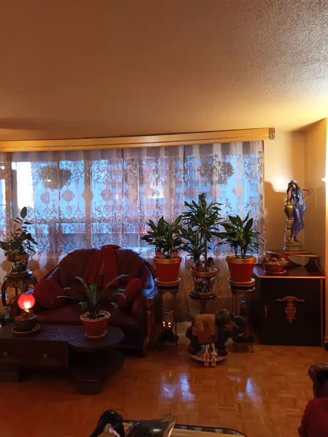 Private room -West Mall and Bloor ( ETOBICOKE ) HWY 427 - Photo 3