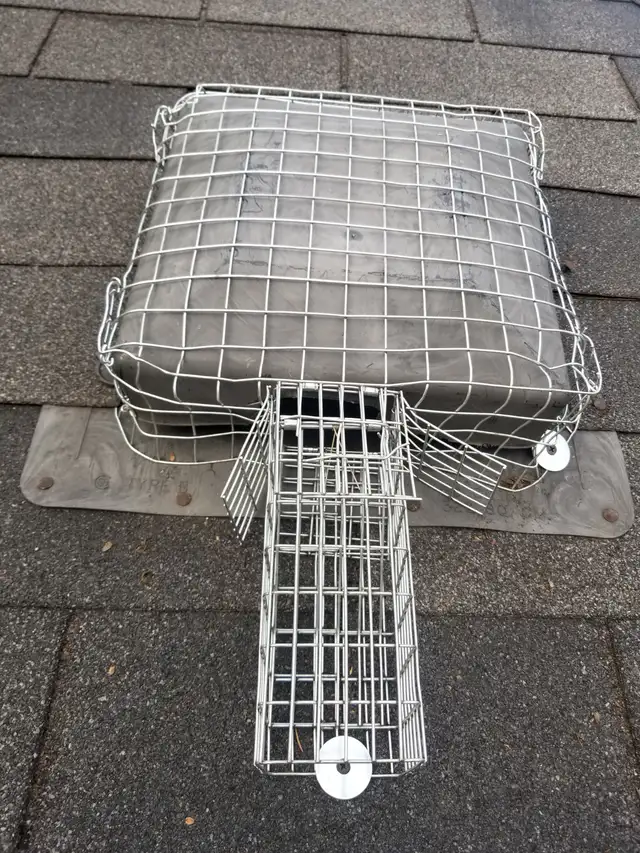 ALL KIND PEST CALL 647 404 2562 PEOPLES PEST AND ANIMAL CONTROL - Photo 6