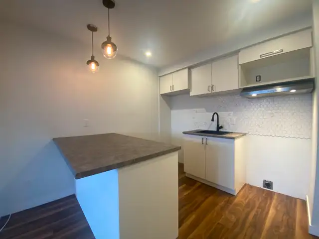 3 1/2 rénové dispo le 1er juillet