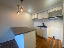 3 1/2 rénové dispo le 1er juillet