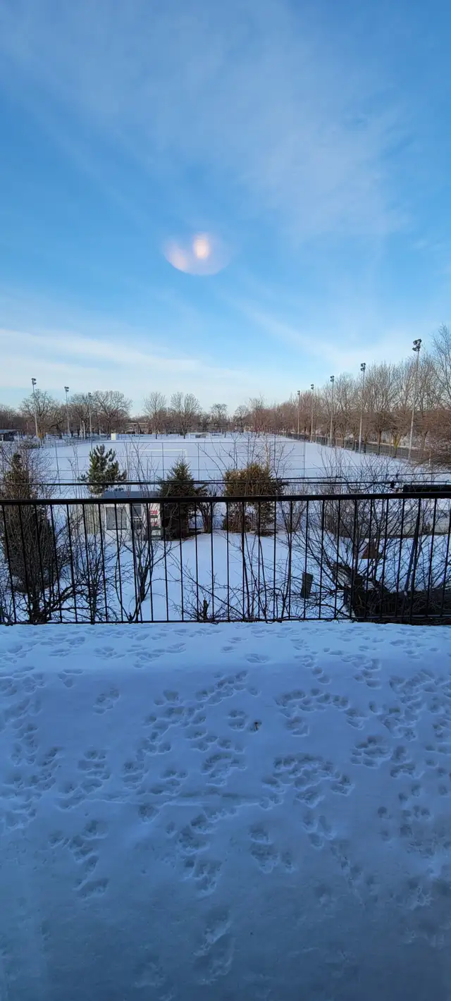 4 1/2 - Autoroute 19, Frederic Beck, Ahuntsic, metro Sauve - Photo 9