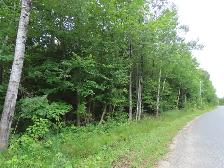 Land for Sale!  54 acres to 100 acres, to 250 acres to 700 acres